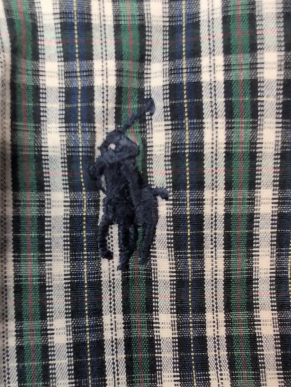 Polo by Ralph Lauren Green & White Plaid Button-Down Shirt
